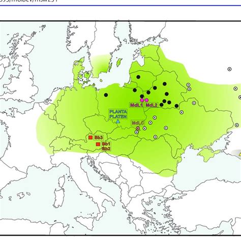 Population history of Lowland and Caucasian wisent, estimated using two ...