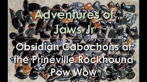 Obsidian Cabochons At The Prineville Rockhound Pow Wow Thefinders