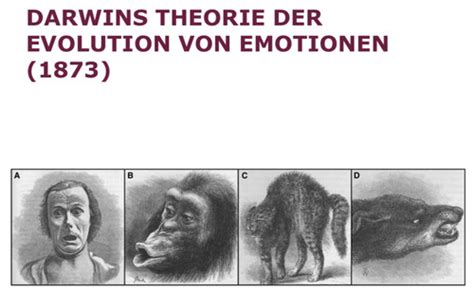 Vorlesung 11 Emotionen Karteikarten Quizlet