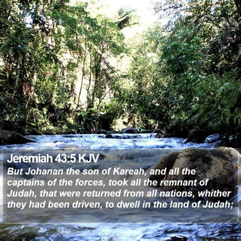 Jeremiah 43 5 KJV But Johanan The Son Of Kareah And All The