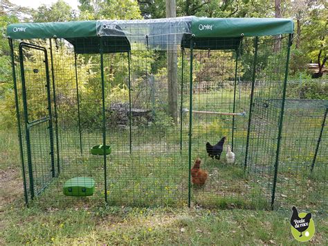 Comment Faire Un Enclos Pour Des Poules Meteor