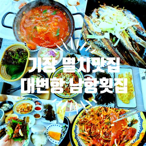 부산 기장대변항맛집 기장멸치쌈밥 멸치회 싱싱하고맛있는 남항횟집 부산기장의 맛있는 특산물한꺼번으로 섭취 네이버 블로그