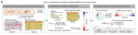 免疫相关lncrna的识别方法 知乎