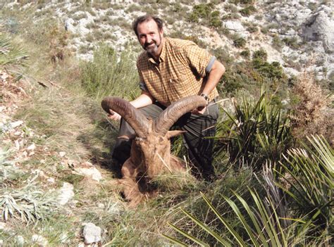 Aoudad or Barbary Sheep - Europe | Big Game Hunting Records - Safari ...