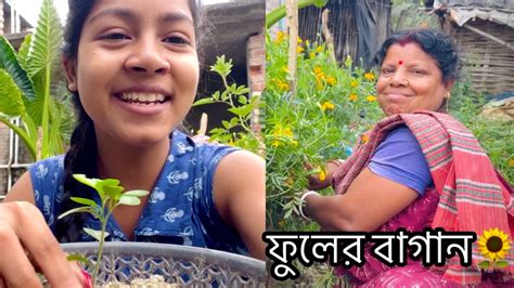 আজ আমার ফুলের বাগান পরিষ্কার করলাম 😁।কি কি গাছ আছে এখানে। Flower And