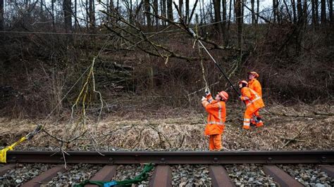 Verkehr Baum droht auf Gleise zu stürzen U2 und U4 ZEIT ONLINE