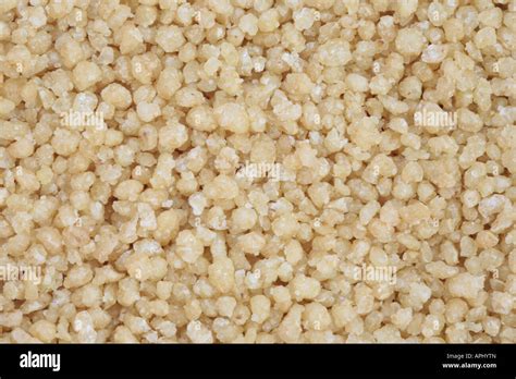 Durum Wheat Triticum Turgidum Ssp Durum Triticum Durum Couscous Grains