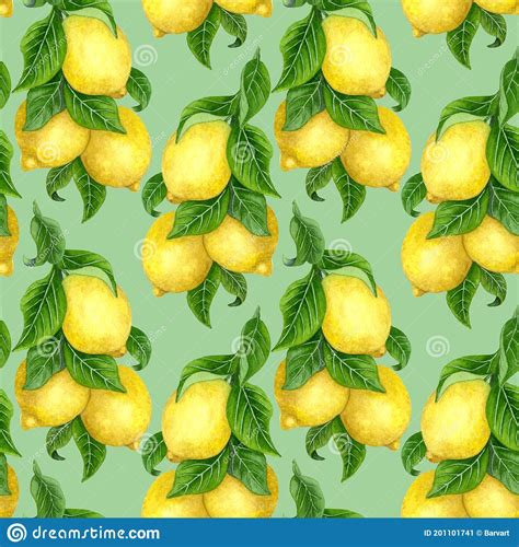 Watercolor Lemon Seamless Patten Hand Drawn Lemon Tree Fruits Leaves Stock Illustration