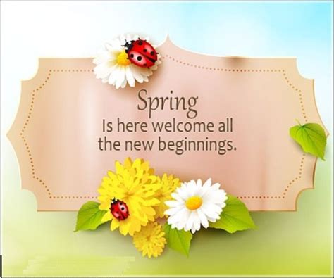 spring images pictures  desi comments