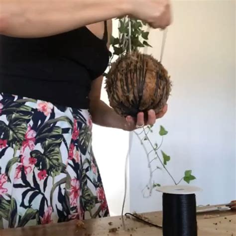 Kokedama Perfecto Para Arreglos En El Interior Del Hogar Venezuela