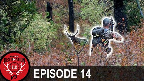 Surrounded By Bugling Bulls Destination Elk V Episode Youtube