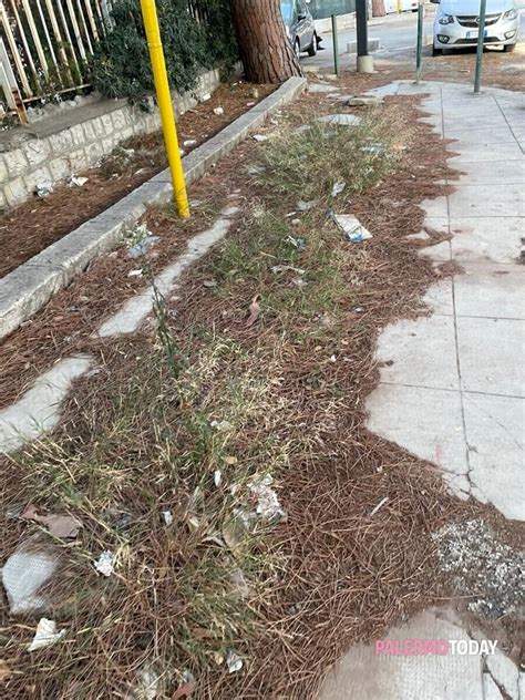 Niente Spazzamento In Via La Malfa Con Le Piogge La Strada Rischia Di