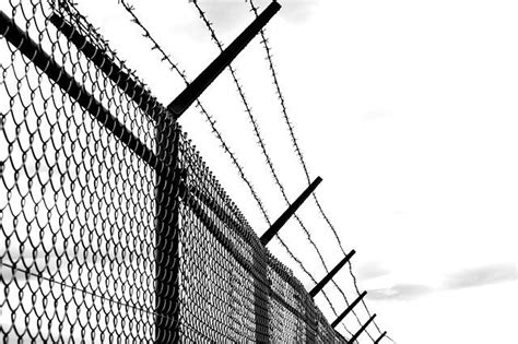 Types Of Security Fencing The Definitive Guide Rite Way Fencing