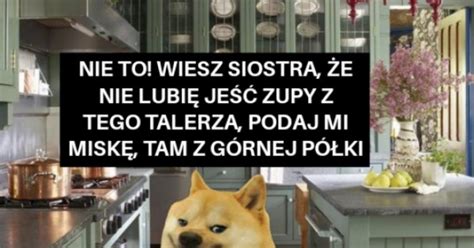 Bo Miska Pasuje Do Zupy Jak Kop Pasuje Do Dupy