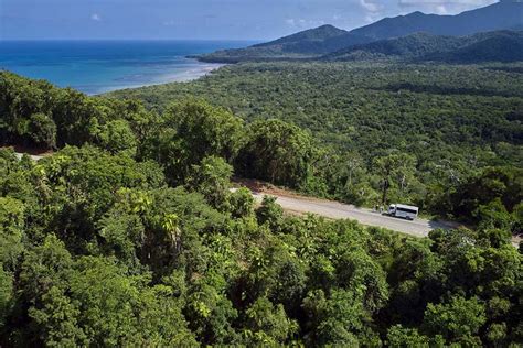 3 Day Cape Tribulation And Cooktown Wanderer A Unique 3 Day Tour