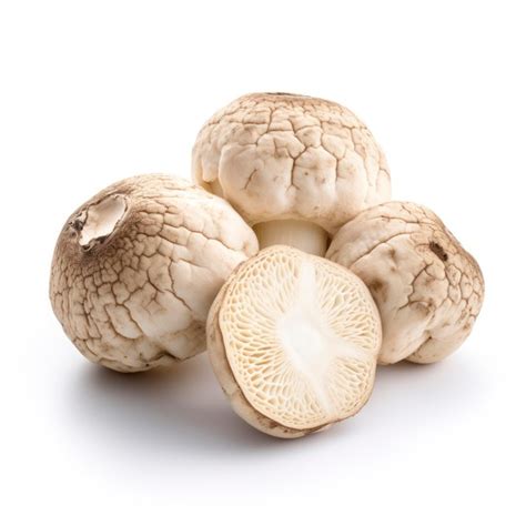 Premium AI Image White Truffles Mushrooms Isolated On A White Background