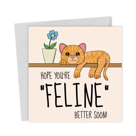 Get Well Soon Cat Card You Said It Get Well Soon Cat Cat Cards