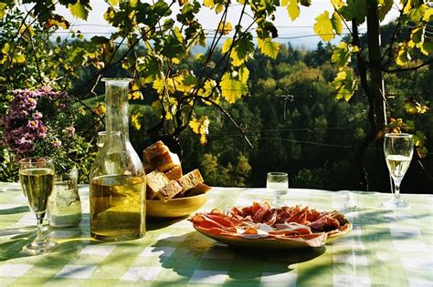 Der Richtige Wein Zum Picknick Der Spirituosen Und Wein Blog