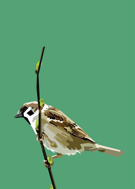 Sparrow Poster Picture Metal Print Paint By Ef Fadli Displate