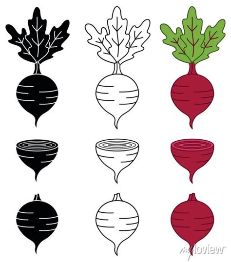 Beet Root Vegetable Clipart Set Outline Silhouette And Color Wall