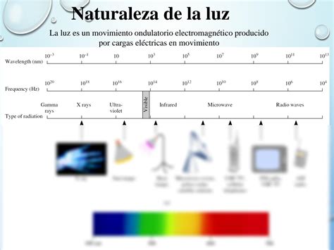 SOLUTION Diapositivas Estructura At Mica Studypool