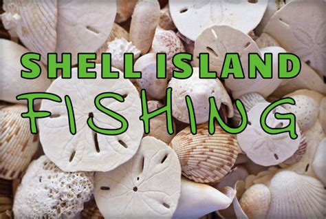 Shell Island Fishing