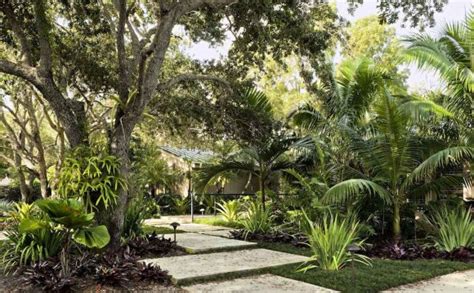 Tropical Landscape Design Ideas : Landscape design