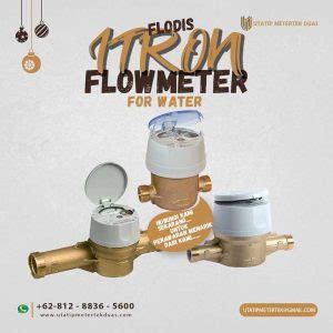 FLOWMETER ITRON FLODIS 1 2INCH Utatip Metertek Duas