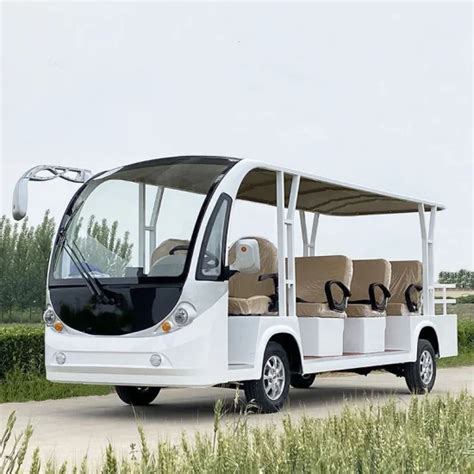 Lithium Battery Powered Seats Electric Sightseeing Personal