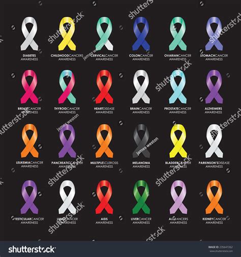 Set Awareness Ribbons Stock Vector 235647262 - Shutterstock