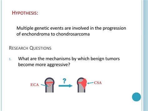 Ppt Gli And P Cooperate To Regulate Igfbp Mediated Chondrocyte