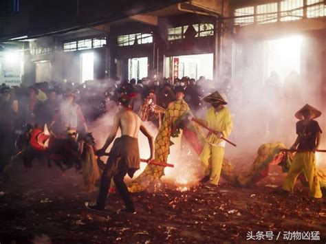 中國非物質文化遺產：廣西賓陽炮龍節 每日頭條