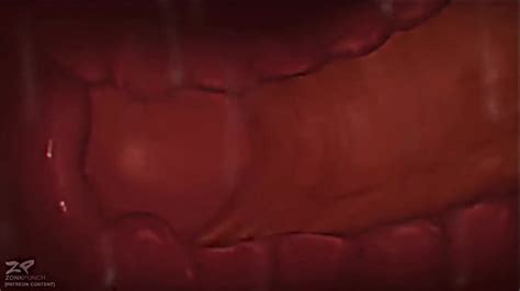 Charizard Videos XVIDEOS