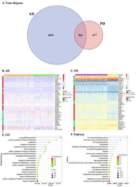 Crosstalk Genes And Functional Enrichment Analysis（a）venn Diagram Of