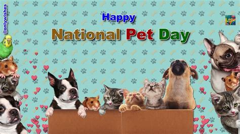 Happy National Pet Day Whatsapp Wishes Status Video Messages Quotes