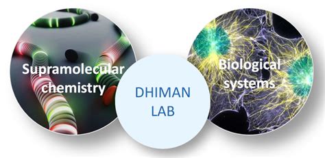 Research – Bioinspired Supramolecular Systems