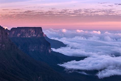 Mount Roraima - Mountain Field Guide