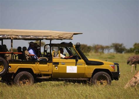 Best Affordable Bush Safaris In Kenya Novan Global