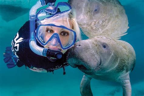Crystal River, FL - Southern Boating