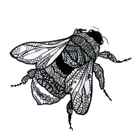 Zentangle Insects