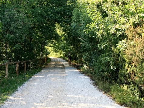 Parco Regionale Dei Colli Euganei A Piedi N 9 Sentiero Del Monte Venda