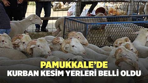 Pamukkalede Kurban Kesim Yerleri Belli Oldu Denizli Haber