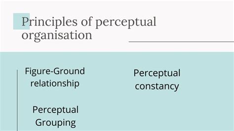 Perceptual Organization Definition Meaning And Principles Marketing91