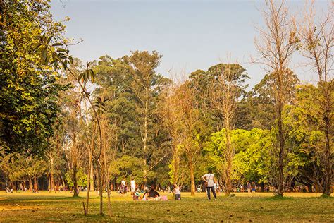 O Que Fazer No Parque Ibirapuera Atra Es