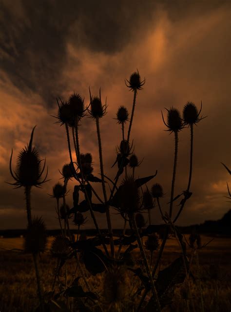 ZEISS Batis 18mm F2.8 sample photo - M15aHX3A4V - ExploreCams