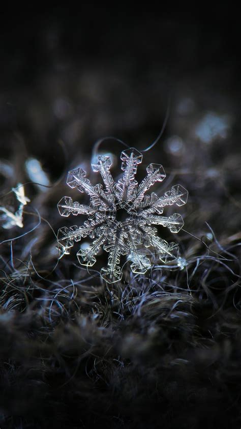 Snow under a microscope – Artofit