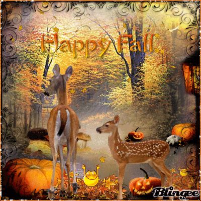 Fall GIF - Find & Share on GIPHY