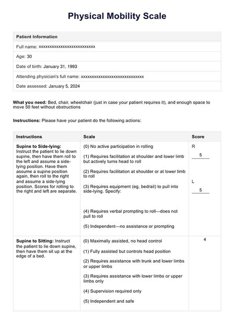 Physical Mobility Scale And Example Free Pdf Download