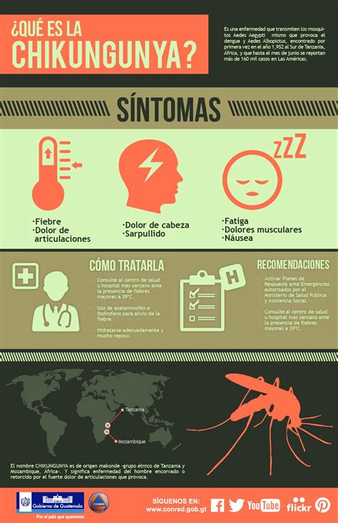 Infografía Qué es la Chikungunya Coordinadora Nacional para la