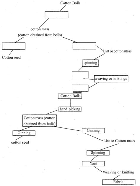 KSEEB Solutions For Class 6 Science Chapter 3 Fibre To Fabric KSEEB